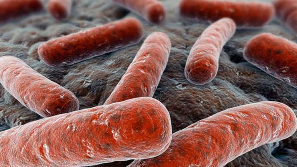 Qué es La Tuberculosis y Cómo Puede ser Tratada